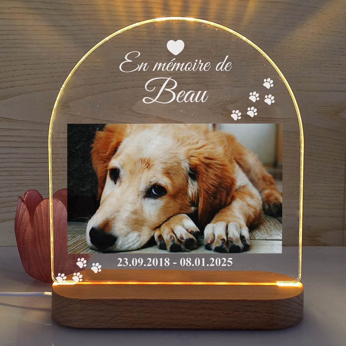 Lampe LED « En mémoire de mon chien/chat »