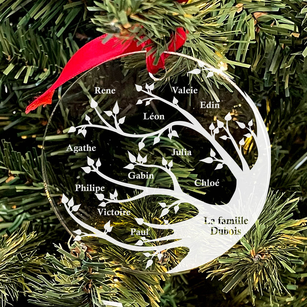 Arbre Généalogique - Décoration en plexiglas