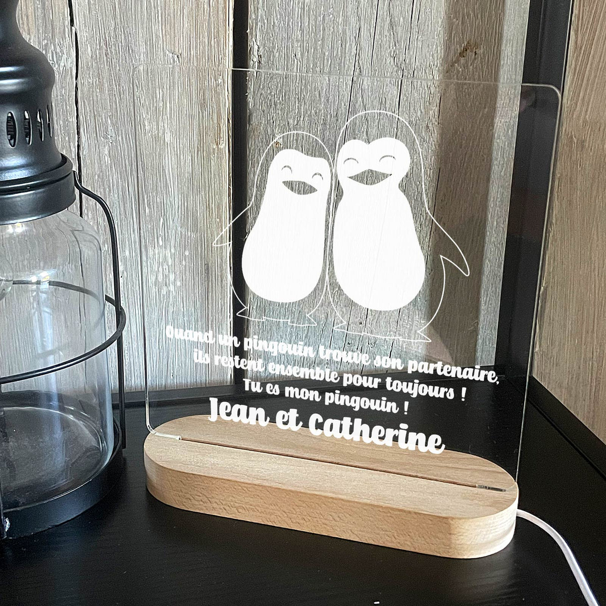 Tu Es Mon Pingouin  - Lampe Décorative
