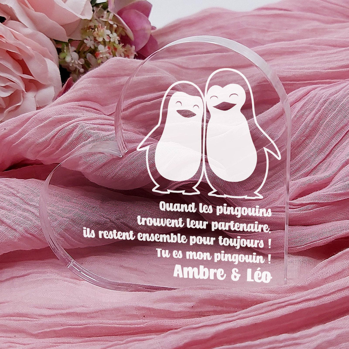 Tu es Mon Pingouin - Cœur en plexiglas